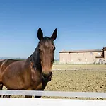 Bed & Breakfast Podere San Giuseppe Castiglione del Lago