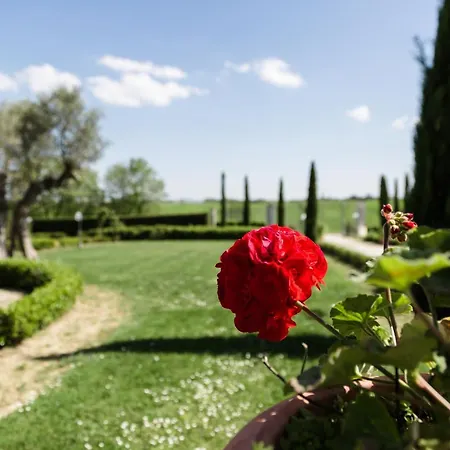 Podere San Giuseppe Panzió Castiglione del Lago