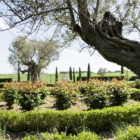 Bed and breakfast Podere San Giuseppe