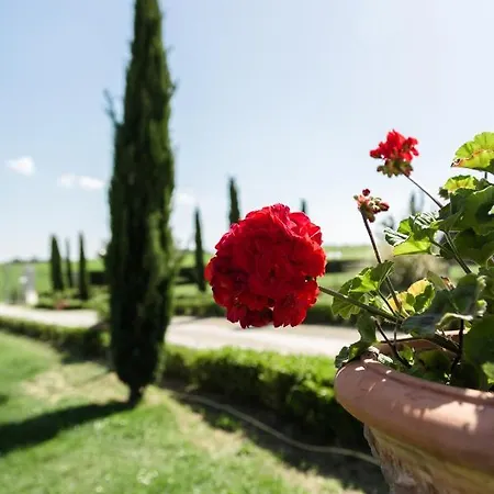 Podere San Giuseppe Panzió