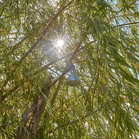 Bed & Breakfast Podere San Giuseppe