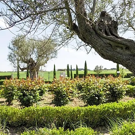 Couette-café Podere San Giuseppe 4*