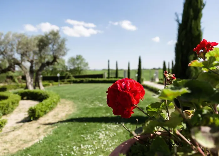 Podere San Giuseppe Bed & Breakfast Castiglione del Lago