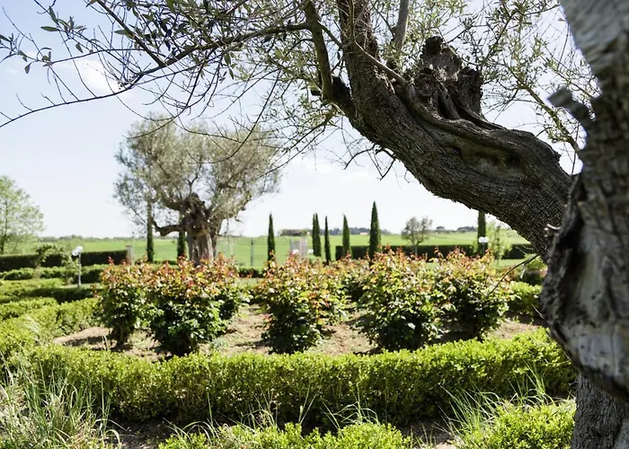 فندق مبيت وإفطار Podere San Giuseppe