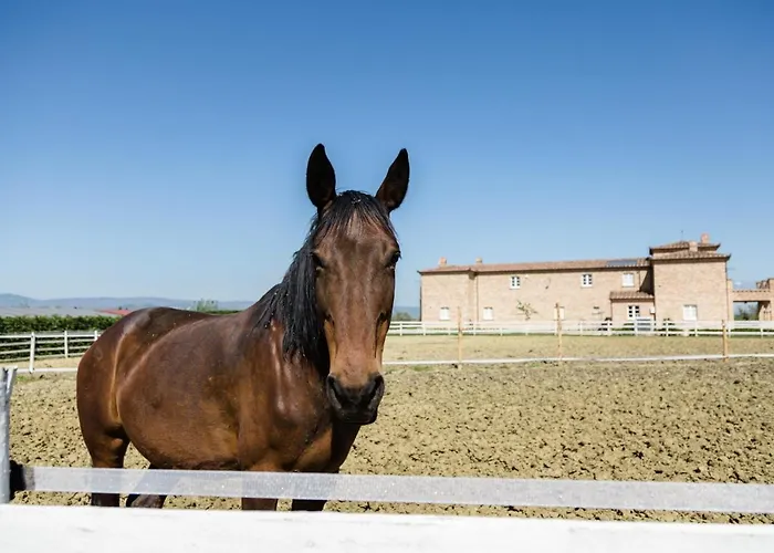 Bed & Breakfast Podere San Giuseppe Castiglione del Lago