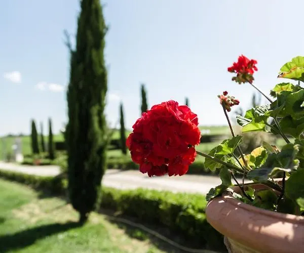 Podere San Giuseppe Bed & Breakfast