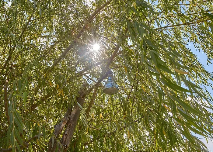 Bed & Breakfast Podere San Giuseppe