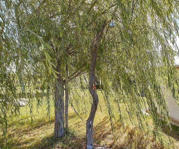 Podere San Giuseppe 4*